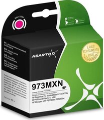 Asarto AS-H973MXN hind ja info | Tindiprinteri kassetid | hansapost.ee