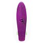 Rula Nils Extreme Pennyboard PNB01 hind ja info | Rulad | hansapost.ee