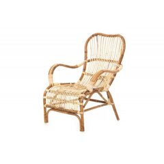 Tool 4living Rattan, pruun hind ja info | Aiatoolid, rõdutoolid | hansapost.ee