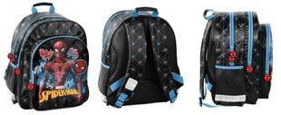 Рюкзак Paso Человек-Паук (Spiderman), SPW-090 цена и информация | Школьные рюкзаки, спортивные сумки | hansapost.ee