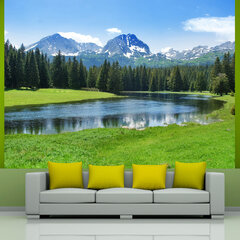 Fototapeet - National Park Durmitor, Montenegro hind ja info | Fototapeedid | hansapost.ee