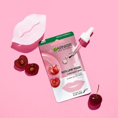 Garnier Skin Naturals prinkust lisav kangasmask huultele, kirsiga, 5 g hind ja info | Näomaskid ja silmamaskid | hansapost.ee