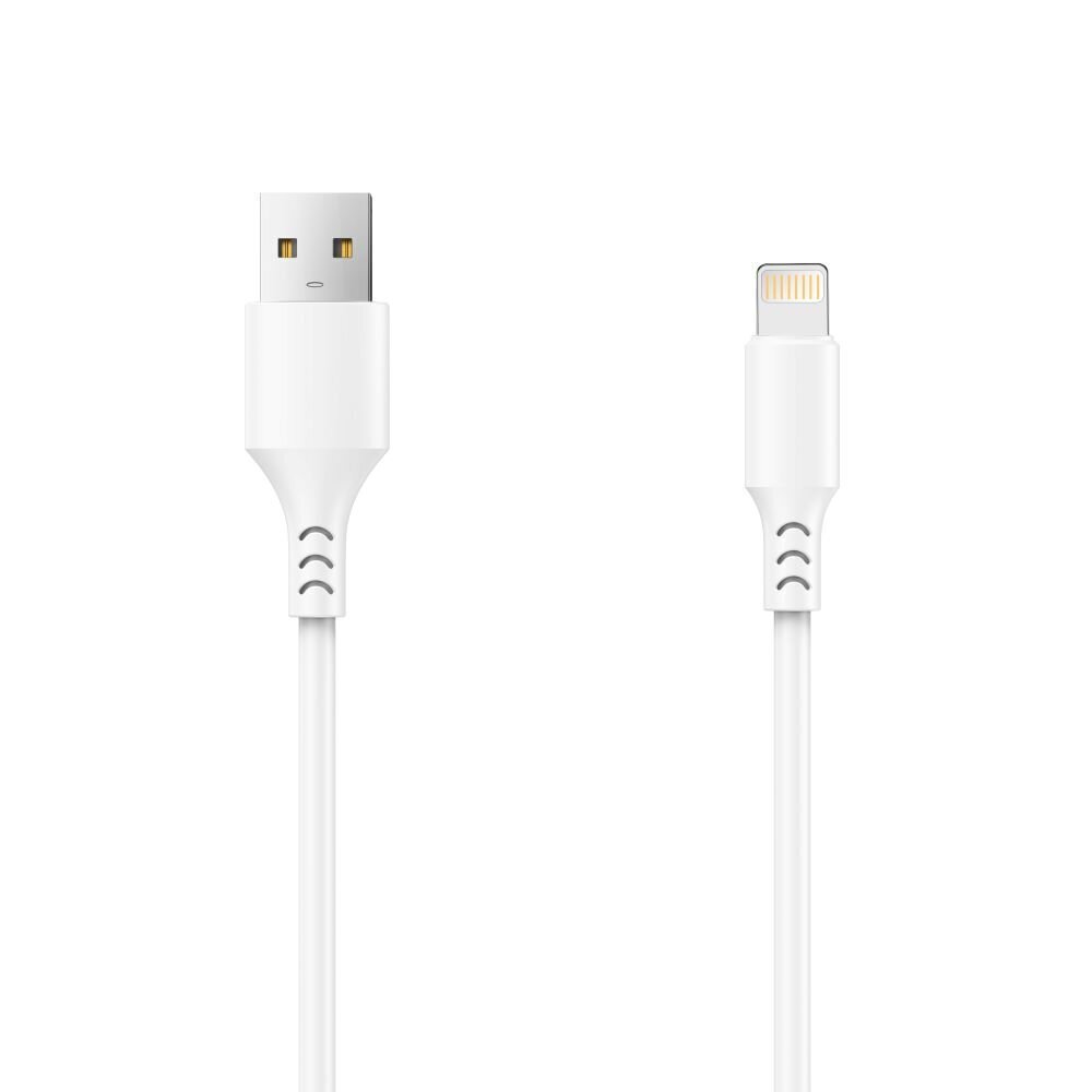 Setty charger 1x USB 2,4A white + Lightning cable 1,0 m NEW цена и информация | Laadijad mobiiltelefonidele | hansapost.ee