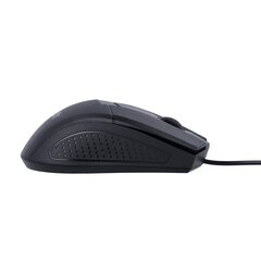 Maxlife Home Office MXHM-01 optical mouse 1000 DPI 1,2 m black цена и информация | Компьютерные мыши | hansapost.ee