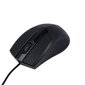 Maxlife Home Office MXHM-01 optical mouse 1000 DPI 1,2 m black hind ja info | Arvutihiired | hansapost.ee