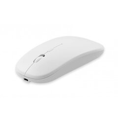 Setty wirless mouse white цена и информация | Мыши | hansapost.ee