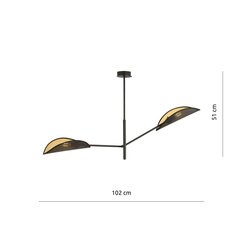 Emibig светильник Vene 2 Black/Gold цена и информация | Потолочный светильник, 38 x 38 x 24 см | hansapost.ee