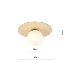 Emibig светильник Kenzo 1B цена и информация | Потолочные светильники | hansapost.ee