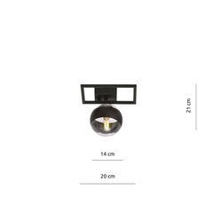 Emibig светильник Imago 1E Black/Stripe цена и информация | Потолочные светильники | hansapost.ee