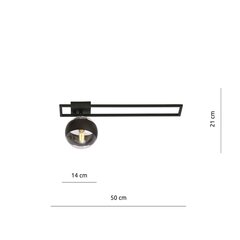Emibig светильник Imago 1C Black/Stripe цена и информация | Потолочные светильники | hansapost.ee