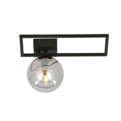 Emibig светильник Imago 1D Black/Grafit цена и информация | Потолочные светильники | hansapost.ee