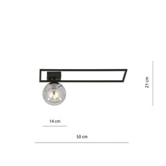 Emibig светильник Imago 1B Black/Grafit цена и информация | Потолочные светильники | hansapost.ee
