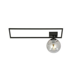 Emibig светильник Imago 1A Black/Grafit цена и информация | Потолочные светильники | hansapost.ee
