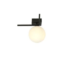 Emibig светильник Imago 1G Black/Opal цена и информация | Потолочные светильники | hansapost.ee