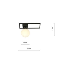 Emibig светильник Imago 1D Black/Opal цена и информация | Потолочные светильники | hansapost.ee