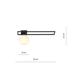 Emibig светильник Imago 1C Black/Opal цена и информация | Потолочные светильники | hansapost.ee