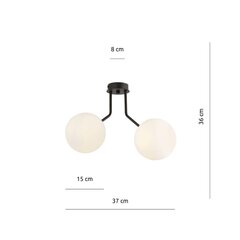 Emibig светильник Nova 2 Black/Opal цена и информация | Потолочные светильники | hansapost.ee