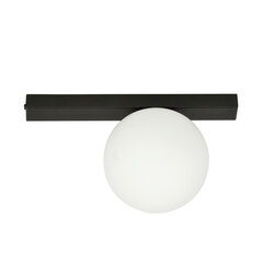 Emibig светильник Fit 1 Black/Opal цена и информация | Потолочные светильники | hansapost.ee