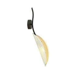 Emibig светильник Lotus K1 White/Gold цена и информация | Настенный светильник Конусы | hansapost.ee