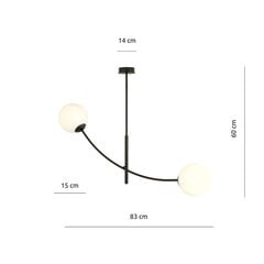 Emibig светильник Hunter 2 Black/Opal цена и информация | Люстры | hansapost.ee