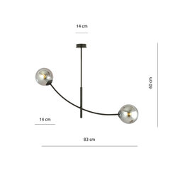 Emibig светильник Hunter 2 Black/Grafit цена и информация | Люстры | hansapost.ee