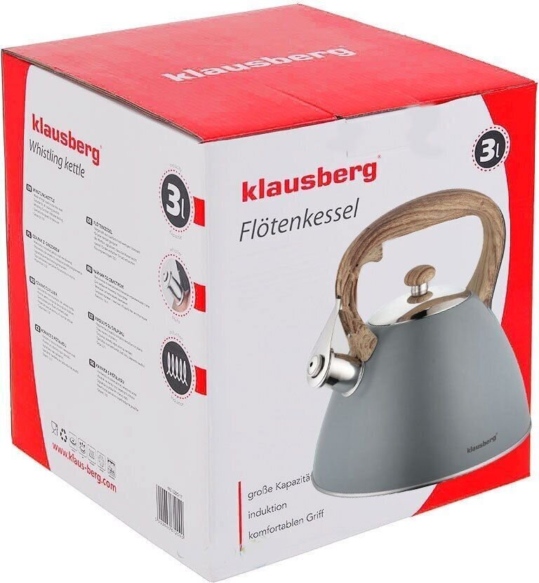 Veekeetja Klausberg KB-7297, 3 L цена и информация | Teekannud, kohvikannud, veekeedukannud | hansapost.ee