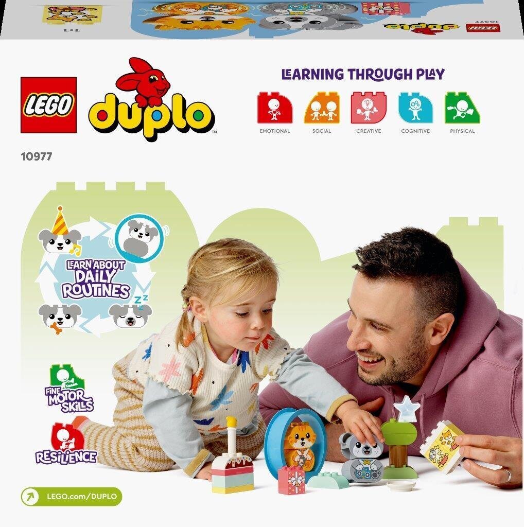 10977 LEGO® DUPLO Minu esimene kutsikas ja kassipoeg koos helidega цена и информация | Klotsid ja konstruktorid | hansapost.ee