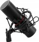 Mikrofon Redragon Blazar GM300 (RED-GM300) цена и информация | Mikrofonid | hansapost.ee