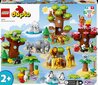 10975 LEGO® DUPLO Maailma metsloomad цена и информация | Klotsid ja konstruktorid | hansapost.ee