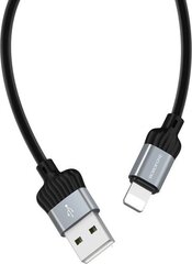 USB-кабель Borofone  цена и информация | Кабели для телефонов | hansapost.ee