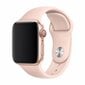 Devia Deluxe Series Sport Band Apple Watch(44mm) jaoks, roosa hind ja info | Nutikellade aksessuaarid ja tarvikud | hansapost.ee