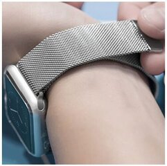 Devia Elegant Series Milanese Loop sobib Apple Watch(44mm), Hõbedane hind ja info | Nutikellade aksessuaarid ja tarvikud | hansapost.ee