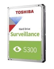 Toshiba Europe HDWV110UZSVA цена и информация | Внутренние жёсткие диски (HDD, SSD, Hybrid) | hansapost.ee