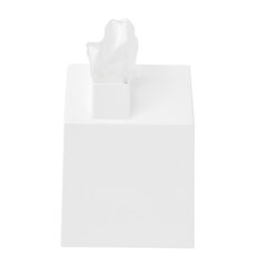 Plastikust taskurätikukarp Umbra, 17x13x13 cm, valge hind ja info | Sisustuselemendid | hansapost.ee