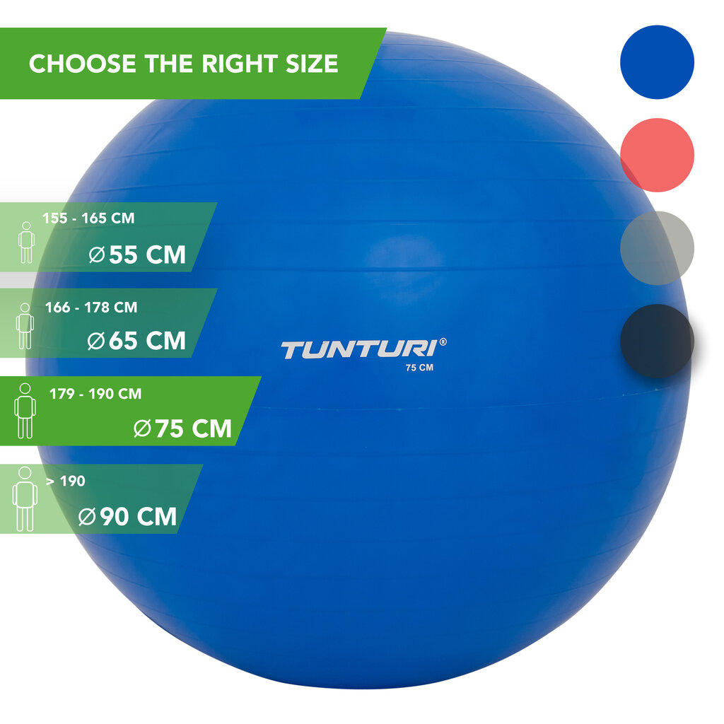 Võimlemispall pumbaga Tunturi 75 cm, sinine цена и информация | Võimlemispallid | hansapost.ee