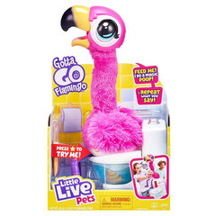 Interaktiivne mänguasi Little Live Pets Gotta Go Flamingo hind ja info |  Pehmed mänguasjad ja kaisukad | hansapost.ee