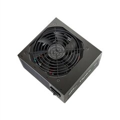 Fortron HYDRO K PRO 600W цена и информация | Блоки питания (PSU) | hansapost.ee