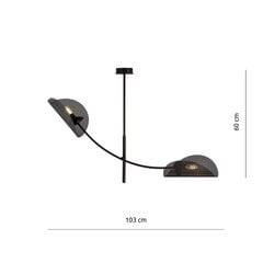 Lamp Emibig Gladio 2 Black цена и информация | Люстры | hansapost.ee