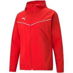 Куртка мужская Puma teamRise All Weather 657396 01 цена и информация | Мужские куртки | hansapost.ee