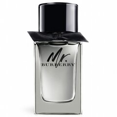 Meeste parfüüm Mr Burberry Burberry EDT: Maht - 100 ml цена и информация | Духи для Него | hansapost.ee