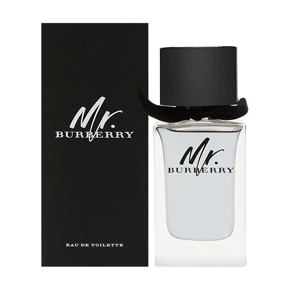 Meeste parfüüm Mr Burberry Burberry EDT: Maht - 100 ml цена и информация | Parfüümid meestele | hansapost.ee