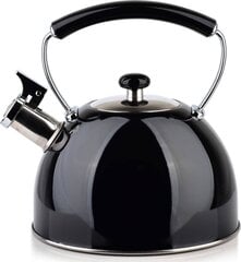 Чайник VINTAGE COOKINI, 2.5 л, черный  цена и информация | Чайники, кофейники | hansapost.ee