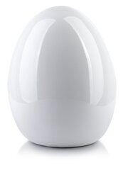 LILA figuur EGG 13xh17cm hind ja info | Sisustuselemendid | hansapost.ee