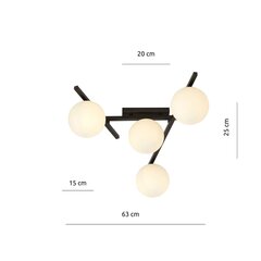 Emibig valgusti Smart 4 Black/Opal цена и информация | Потолочные светильники | hansapost.ee