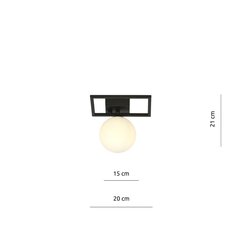 Emibig valgusti Imago 1E Black/Opal цена и информация | Потолочные светильники | hansapost.ee