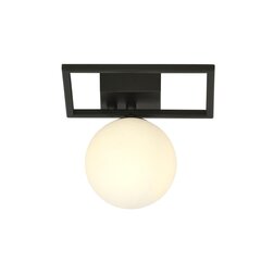 Emibig valgusti Imago 1E Black/Opal цена и информация | Потолочные светильники | hansapost.ee