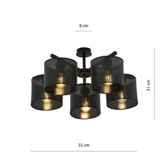 Emibig valgusti Jordan 5 Black цена и информация | Потолочные светильники | hansapost.ee