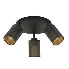 Lamp Emibig Bronx 3 Premium Black цена и информация | Потолочные светильники | hansapost.ee