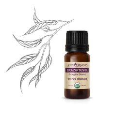 Orgaaniline eukalüpti eeterlik õli, alteya organics, 10ml цена и информация | ALTEYA Косметика для тела | hansapost.ee