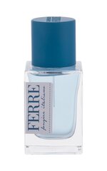 Tualettvesi Gianfranco Ferre Fougere Italiano EDT meestele 30 ml hind ja info | Parfüümid meestele | hansapost.ee